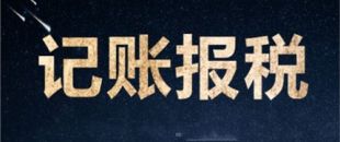 南山一家剛剛成立的新公司，要怎么記賬和報(bào)稅？