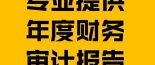 財務報表審計報告的費用是多少？